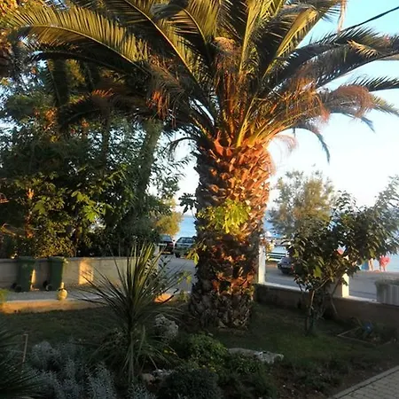 Roko Turanj